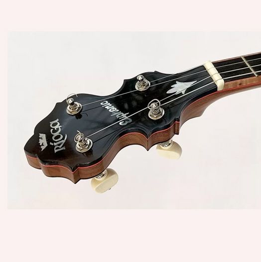 Rioga Euphonic Irish tenor banjo